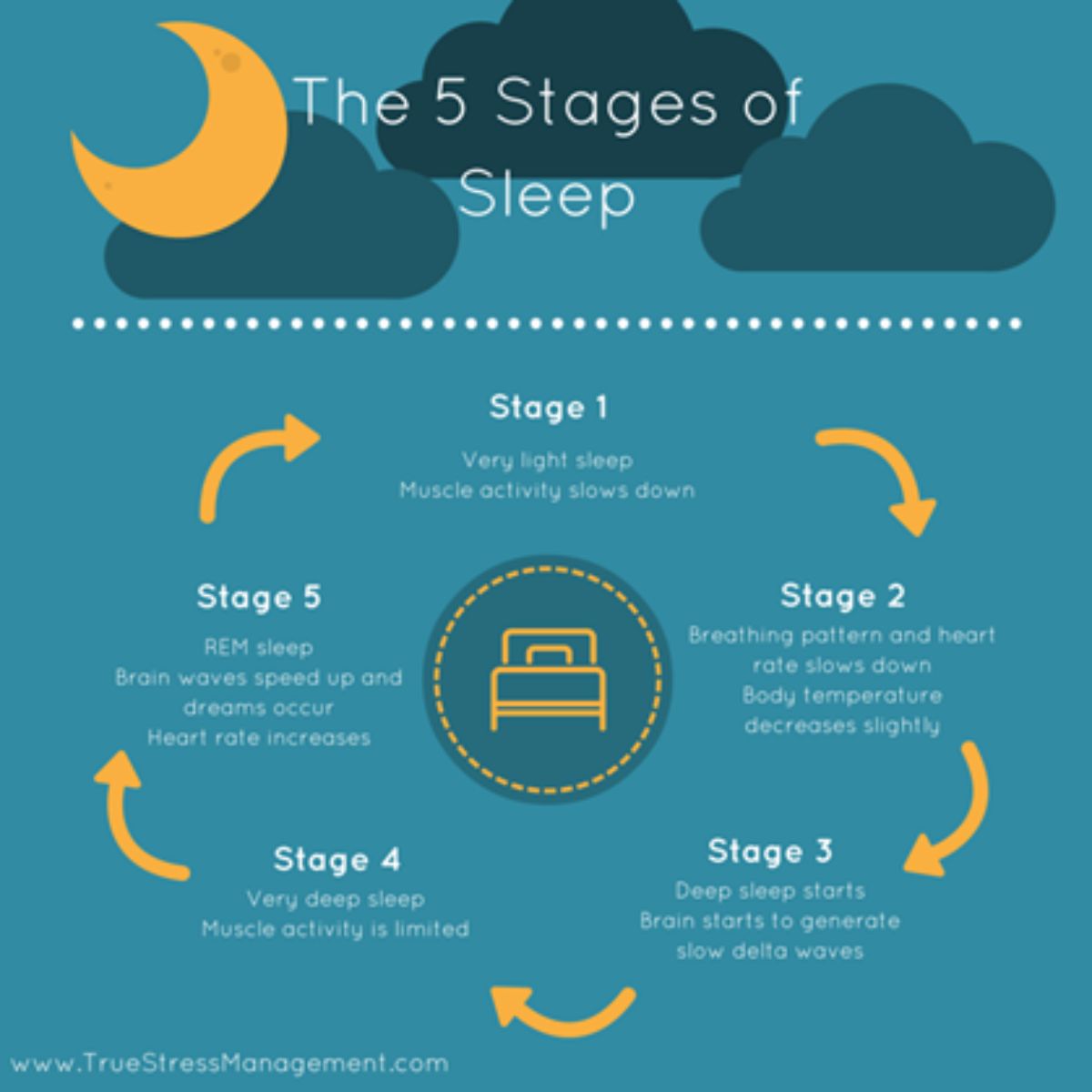 5 stages of sleep